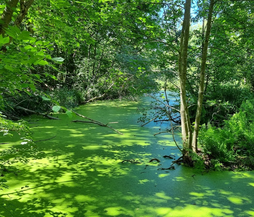 Entrée est des Marais de Fontenay 3